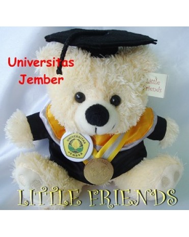 Boneka Wisuda Universitas Jember - Teknik (25 cm)